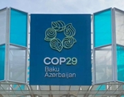 Local government at COP29