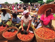 Local economic development in Ghana